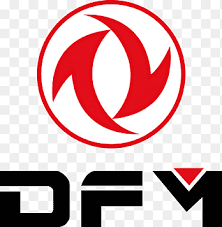 DFM